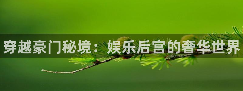 环球360私网一比一