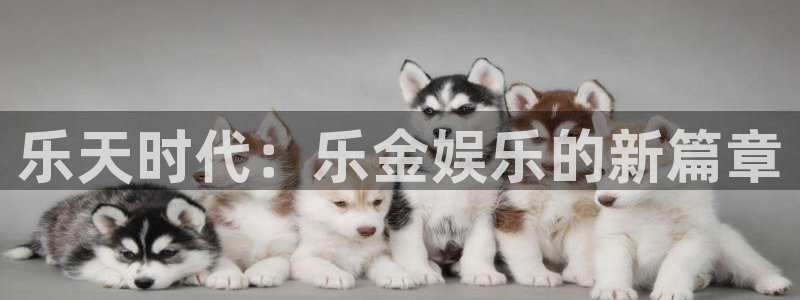 环球360私网一比一